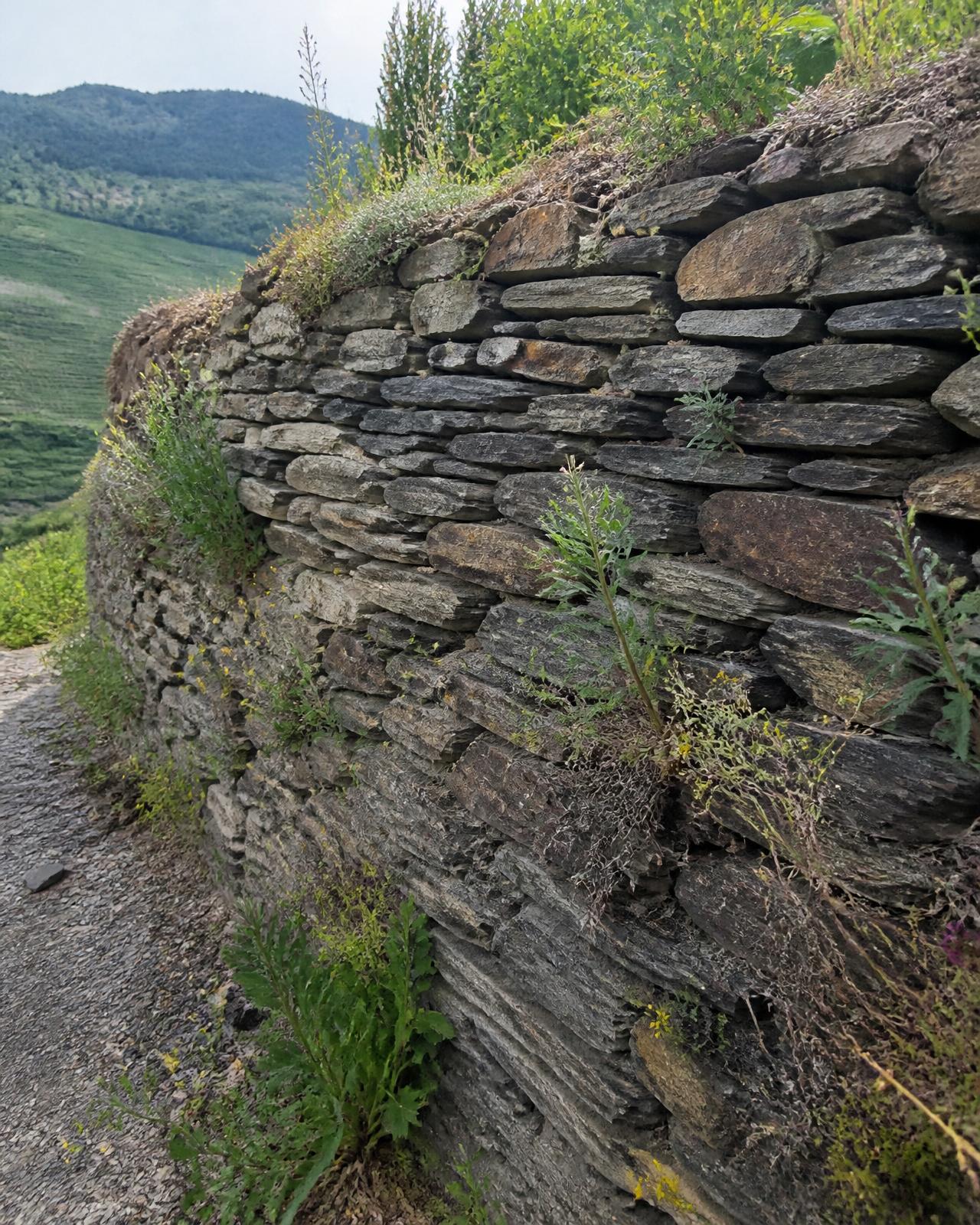 Trockenmauer in Hanglage
